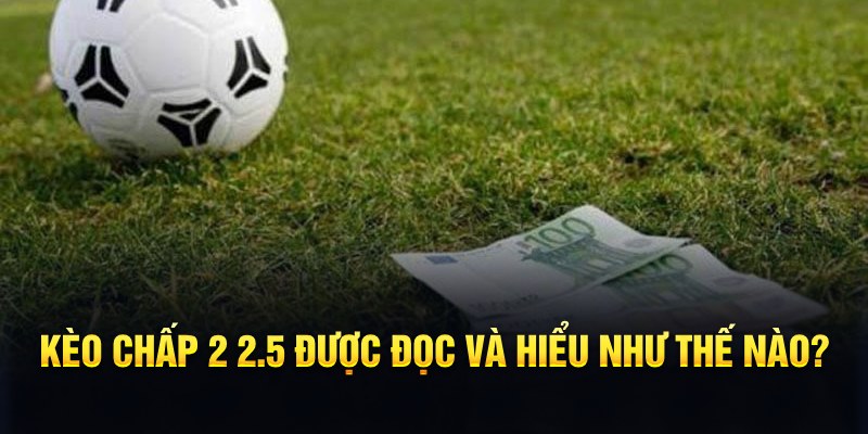mcw19 casino LINK MỚI