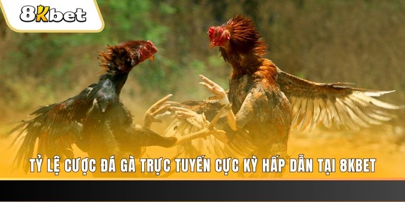 fb8 casino TỶ LỆ BÓNG ĐÁ