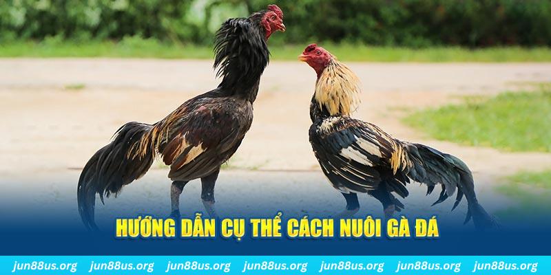 keonhacai casino Đăng ký