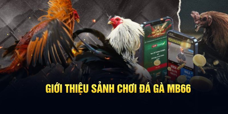 188bet casino KÈO NHÀ CÁI