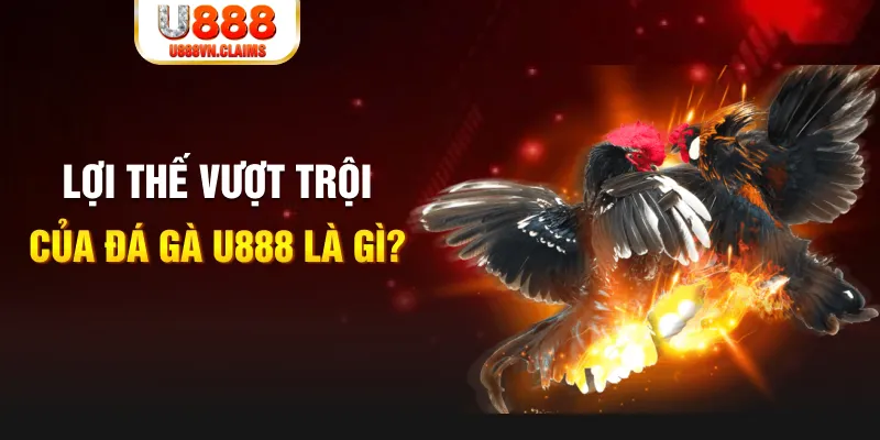 ku777 sòng bạc LINK MỚI